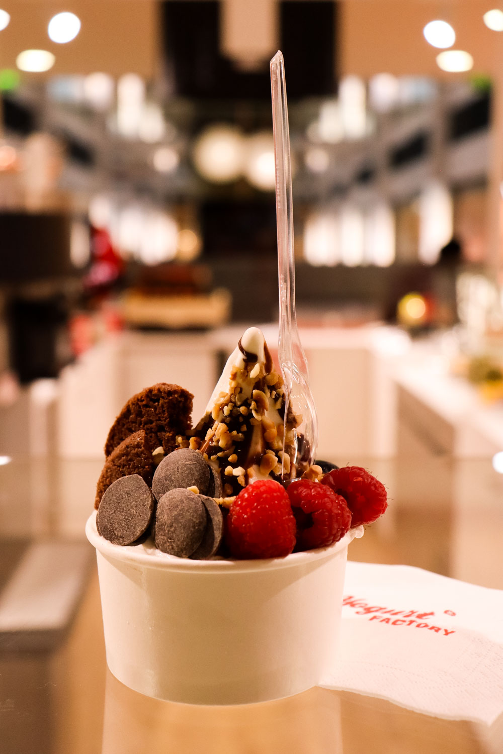 Les meilleurs yaourts glacés Yogurt Factory Passage Cordeliers