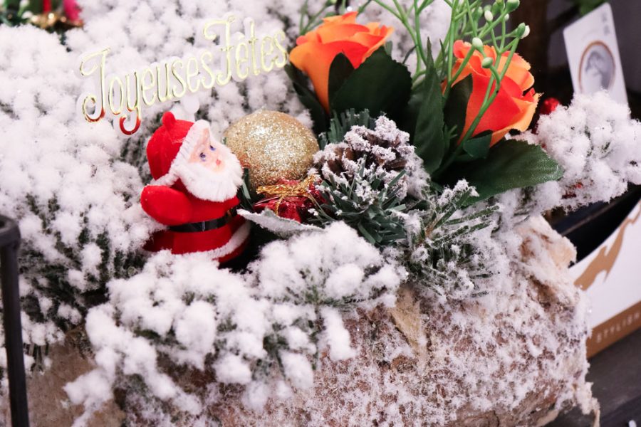 CORDELIERS-decembre (102)