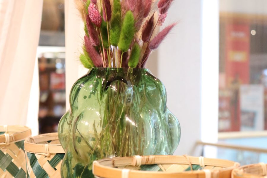 Photo sostrene grenes 10